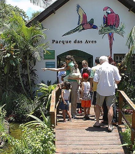 Bild - Bird Park
